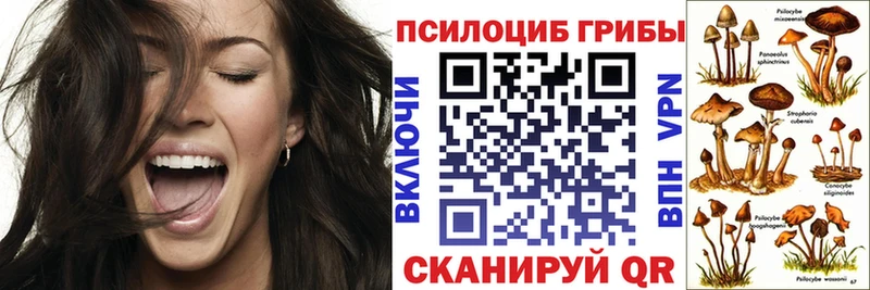 Псилоцибиновые грибы GOLDEN TEACHER  купить наркотик  Балахна 